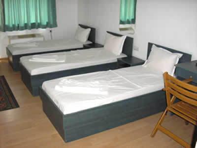 Hotel Pilevski Blagoevgrad Room photo